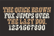 Vintage Valentine – Distressed Heart, a Slab Serif Font by KiddoGlyphs Studio (Thumbnail 5 of 5)