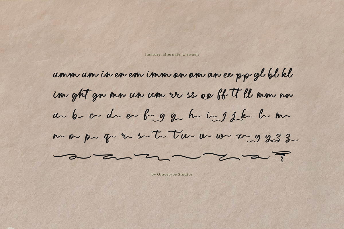 Northwick Cursive Handwritten Script, a Script Font by gracetype_studio (Photo 11 of 12)