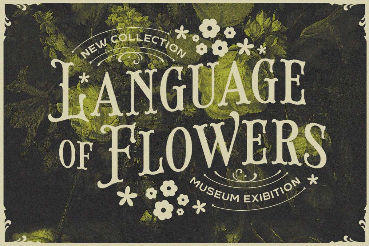 Brindley Houston Display Serif, a Serif Font by Letterhend Studio (Photo 10 of 11)