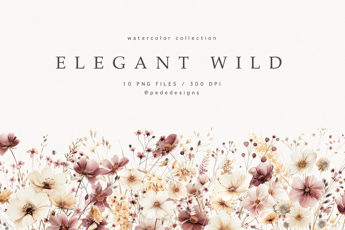Elegant Wild Flowers, a Decorative Illustration by PeDe Designs (Photo 1 of 8)