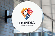 Lion Logo Pack – 15 Unique Vector, a Branding & Logo Template by Design_Planet (Thumbnail 3 of 7)