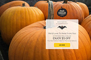 Halloween Mailchimp Eblast, an Email Template by Khryna Designs (Thumbnail 2 of 2)