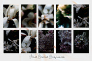 Dark bloom. Floral Backgrounds, a Background Graphic by PaperJamLab (Thumbnail 6 of 14)