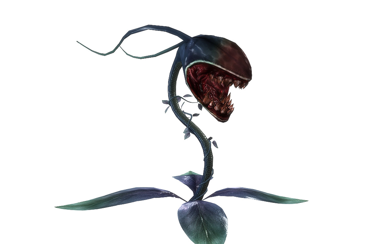 3DFoin - Elongata, a Characters & Person 3D Model by 3DRT.com (Photo 15 of 17)