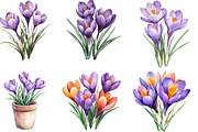 Watercolor Crocus Flowers Clipart, an Illustration by Designking (Thumbnail 5 of 5)