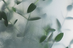 Soft green leaves behind frosted gla, a Nature Photo by Edalin's Store