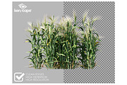 81 Farm Plants Photo Overlays, a Nature Photo by KenScape (Thumbnail 2 of 3)