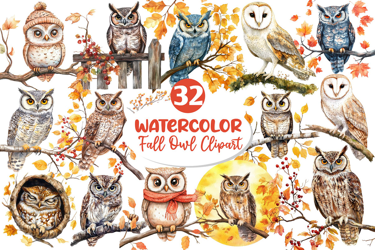 Autumn Owl Clipart Sublimation, an Illustration by Dream Creation (Photo 1 of 6)