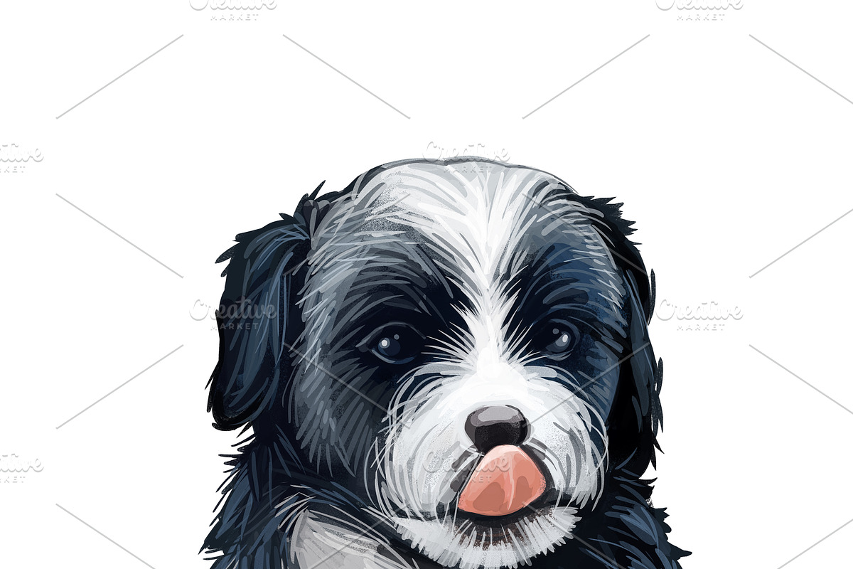 Poodle Cross Breeds 27 Dogs/Puppies, an Animal Illustration by Dneprstock (Photo 3 of 27)