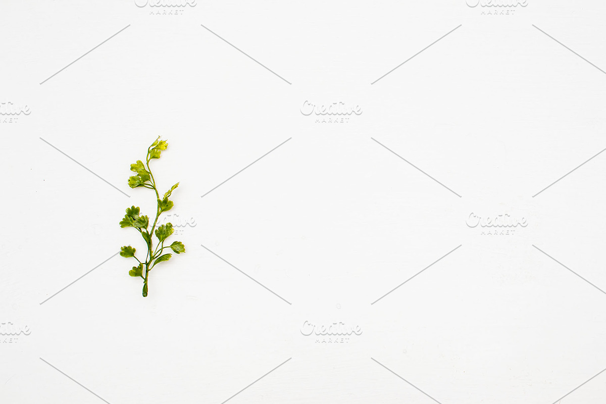 Modern Mockup, Clean Mockups, a Background Photo by BlueBooks (Photo 7 of 14)