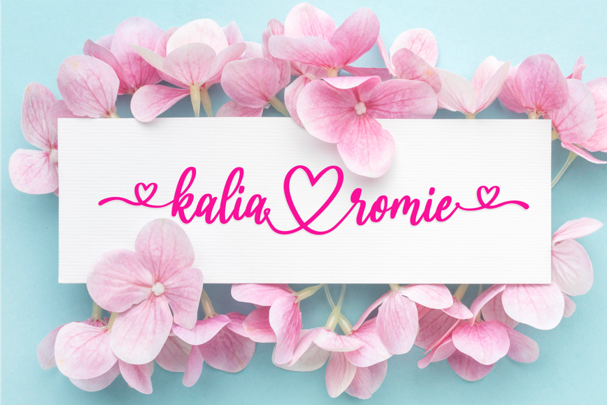 hello bella, a Script Font by N (Photo 3 of 12)