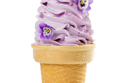 Soft fruit ice cream containing cream, ice, and soft