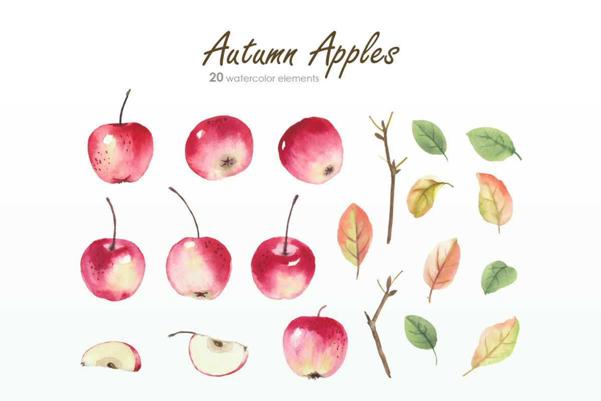 Autumn Apples, a Decorative Illustration by oKOLOstyle (Photo 4 of 6)