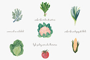 Watercolor vegetable clipart set, a Decorative Illustration by Patishop Art (Thumbnail 4 of 8)