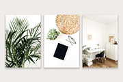 Lifestyle Bundles Collection 5, a Beauty & Fashion Photo by Floral Deco (Thumbnail 5 of 65)