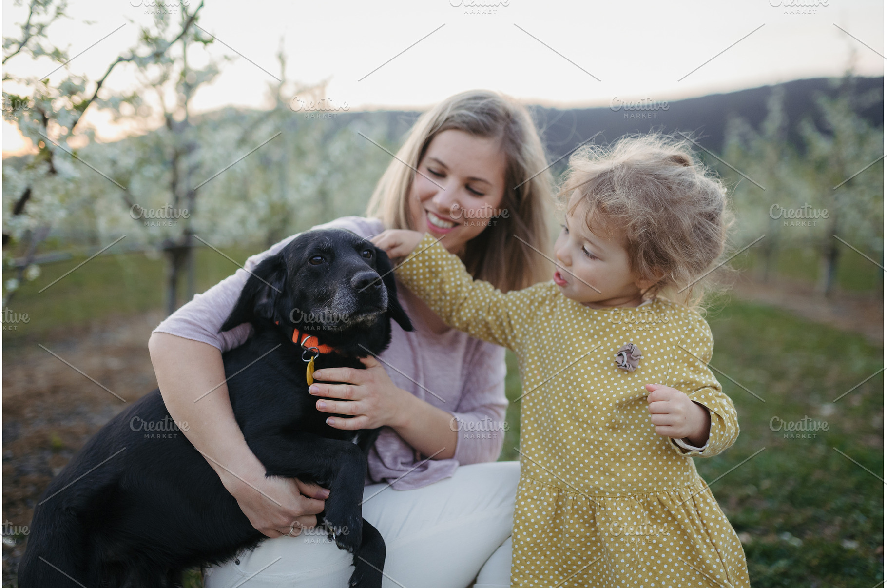 Girl with mother and dog in the, a Person Photo by HalfPoint