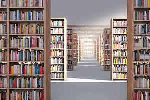 Book shelves