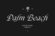 Darkslide - Elegant Display Serif, a Font by Swandtype (Thumbnail 3 of 9)