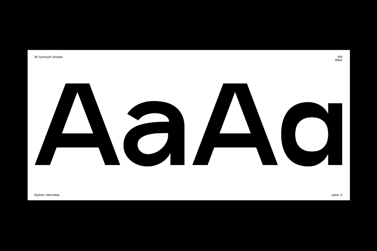 SK Synonym Grotesk — Modern Typeface, a Font by Shriftovik Type Foundry (Photo 11 of 15)