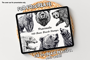 100 Bear Procreate Stamps, a Brush Add-On by Painter Creative Books (Thumbnail 1 of 9)