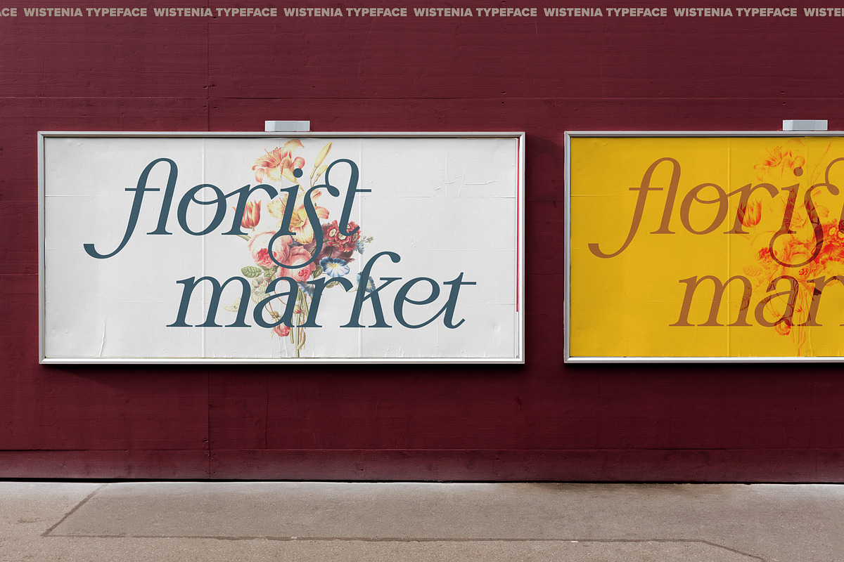 Wistenia Typeface, a Serif Font by Ivan Rosenberg (Photo 10 of 18)