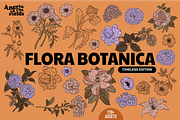 FLORA BOTANICA Vector Illustrations, an Object Graphic by angelainthefields (Thumbnail 1 of 13)