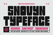Snovyn, a Sans Serif Font by graphicook (Thumbnail 1 of 10)