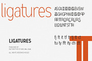LiteOn Condensed, a Sans Serif Font by FactoryType Studio (Thumbnail 11 of 12)