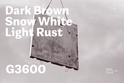 Grotesco, a Sans Serif Font by Latinotype (Thumbnail 11 of 15)