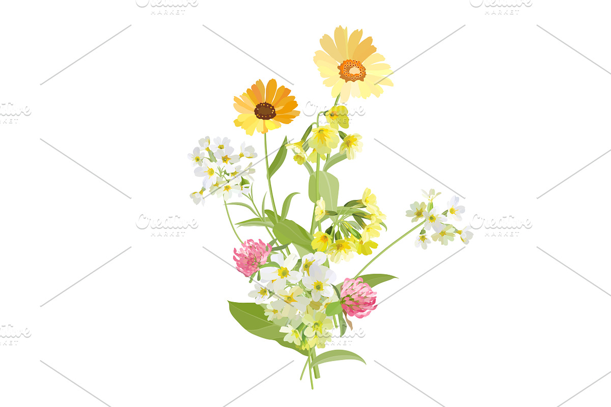 Vector object brushes. Primula., a Brush Add-On by Peolla (Photo 15 of 17)