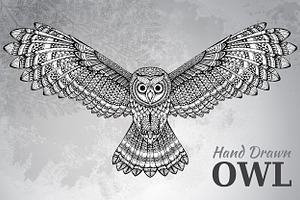 Hand Drawn Flying Owl