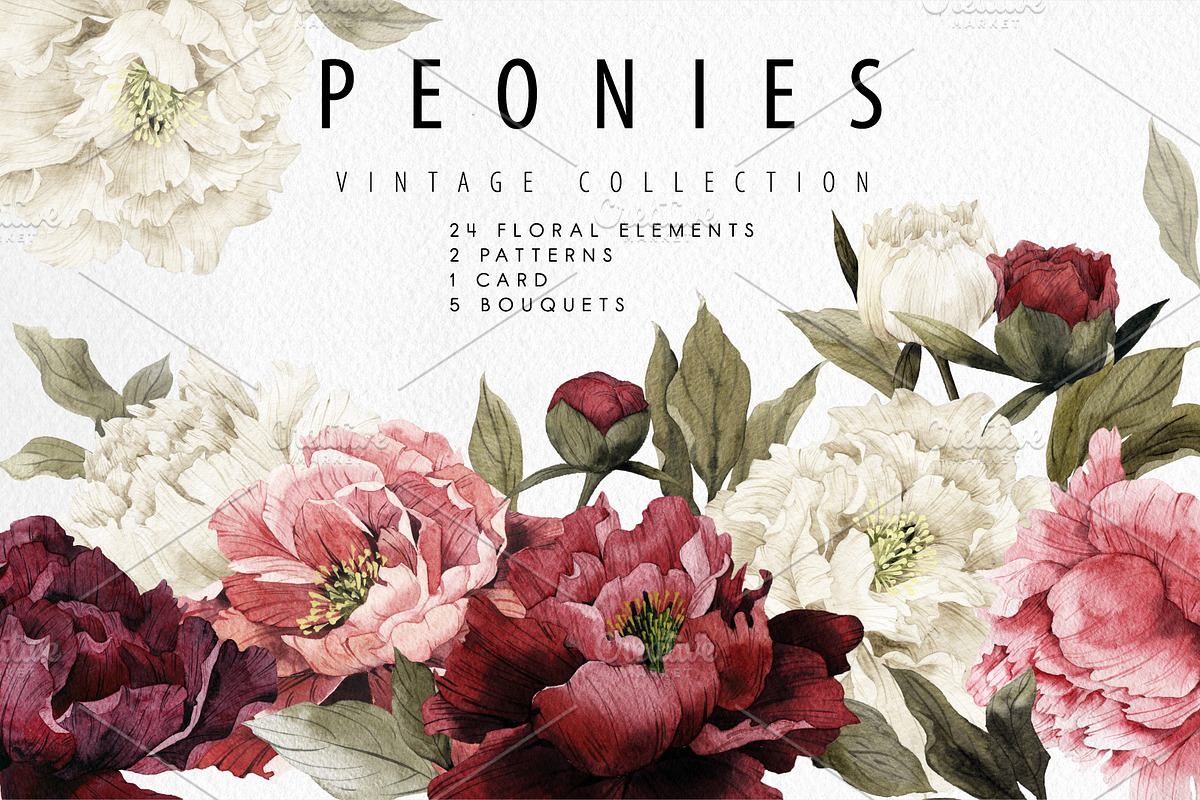 WATERCOLOR BUNDLE Peonies & Roses, an Illustration by ollalya (Photo 2 of 101)