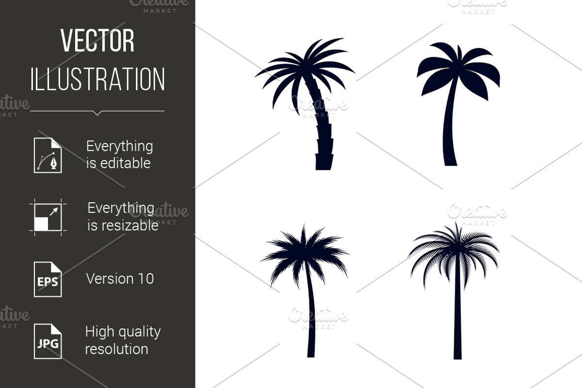 Tropical Palm Trees, a Graphic by DvargShop
