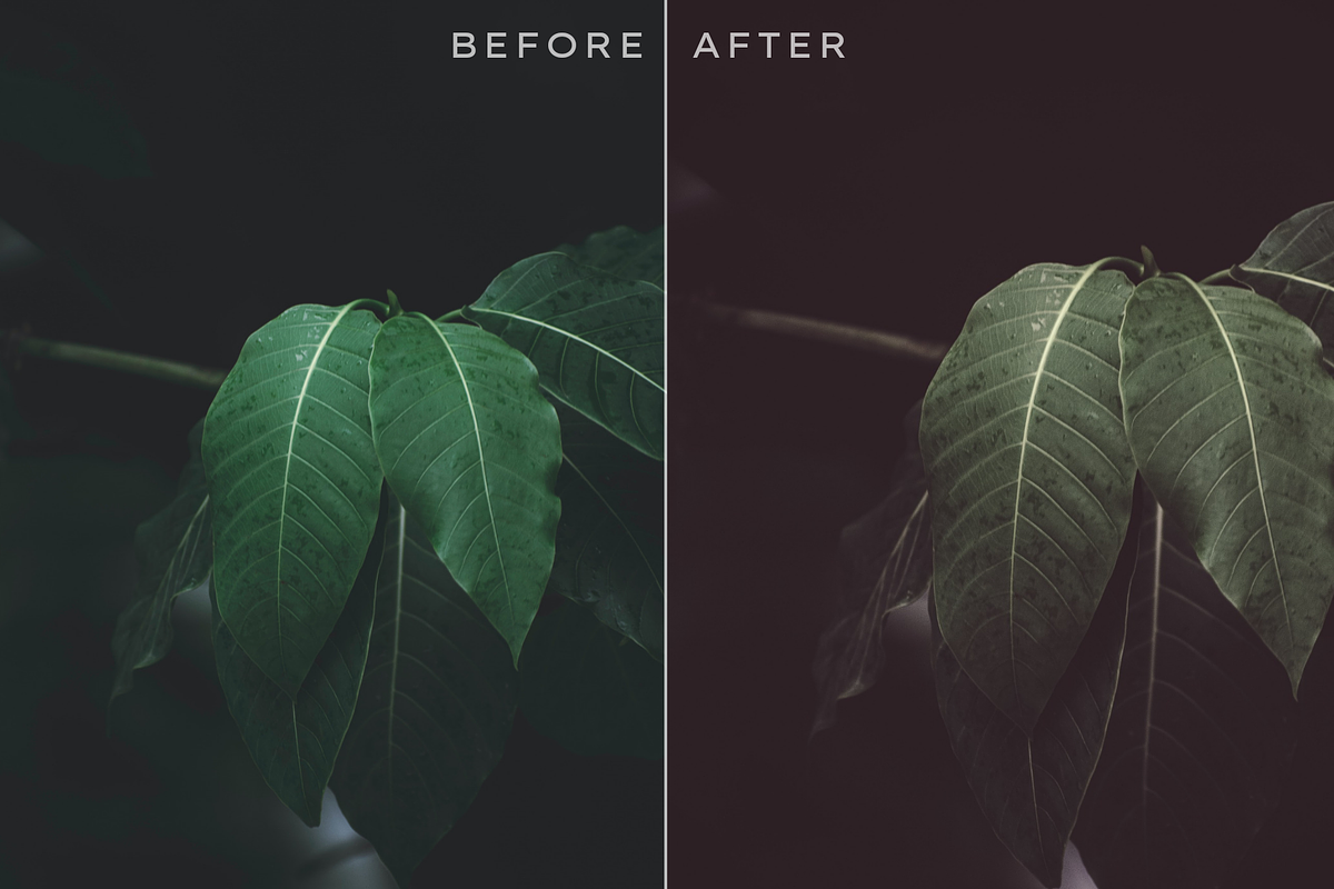 290 Matte Lightroom Presets Bundle, an Action Add-On by RamsaGraphi (Photo 3 of 12)