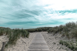 Wooden path featuring path, wooden, and woo