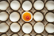 Eggscaped Spring Minimalistic Easter, a Seasonal Illustration by Preza Buro (Thumbnail 5 of 6)