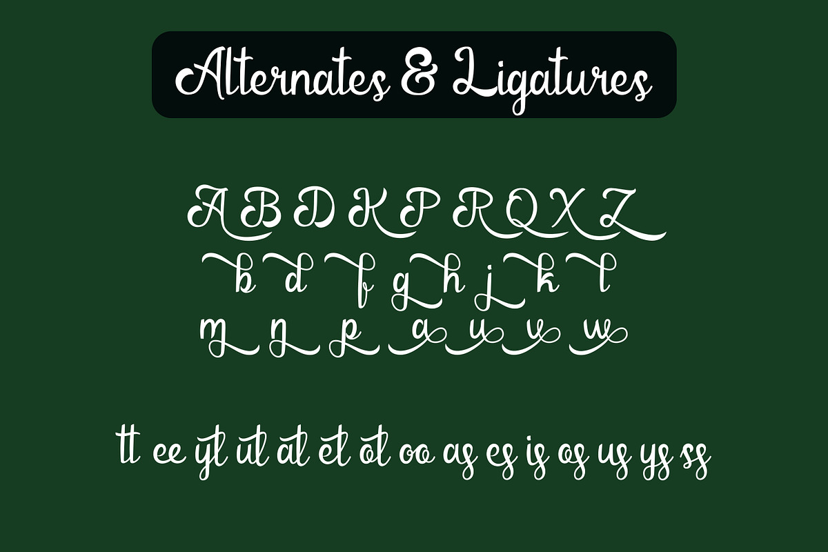 Annaleta - Modern Script Font, a Script Font by Favo Write (Photo 9 of 11)