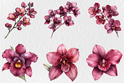 Watercolor Burgundy Orchids Clipart, a Seasonal Illustration by Rose Art (Thumbnail 4 of 6)