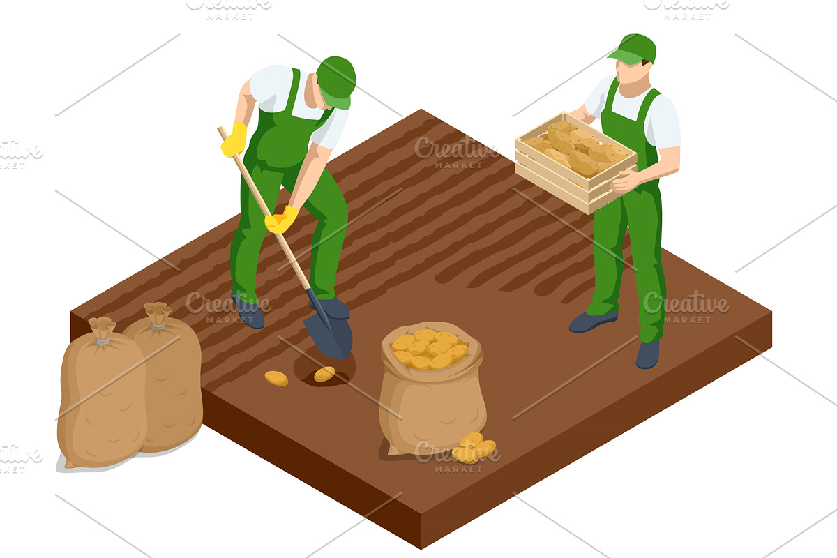 Agricultural cultivation. Two male, a Food Illustration by Golden Sikorka