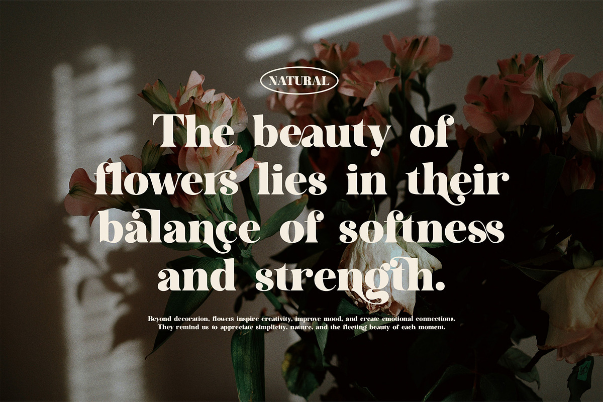 Milgan Elegant Luxury Serif Font, a Serif Font by Perfectype (Photo 4 of 8)