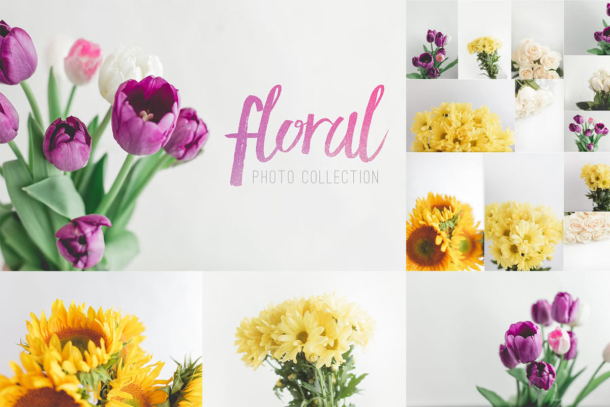 Complete Design Asset Pack Full Shop, a Texture Graphic by Fox & Bear (Photo 11 of 14)