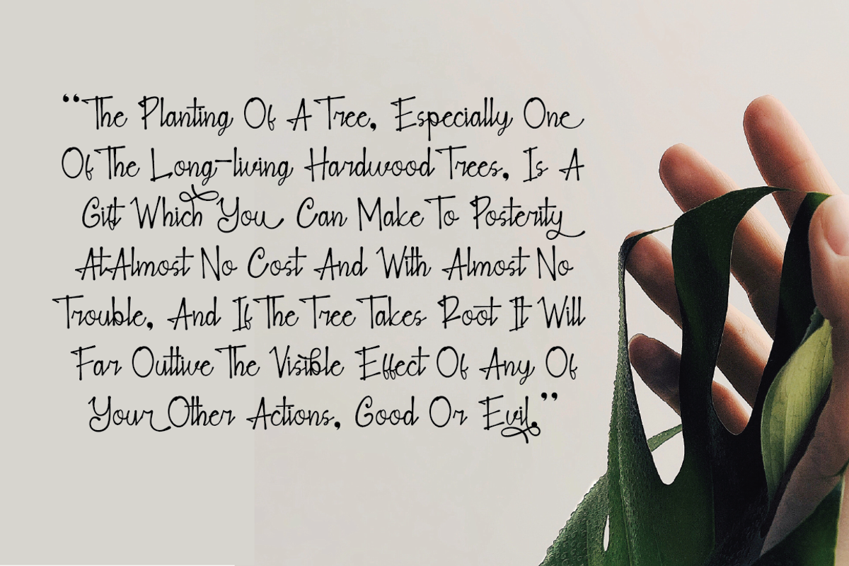 Blank Note - Ink Handwritten Font, a Script Font by PutraCetol Studio (Photo 6 of 11)