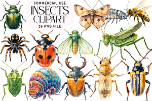 Insects Clipart Bundle, an Illustration by Daily.Designs