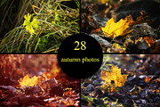 28 autumn nature photo pack, a Nature Photo by pictures for you (Thumbnail 1 of 7)