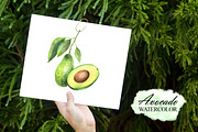Watercolor avocado clipart, a Food Illustration by OlDm_Shop (Thumbnail 5 of 6)