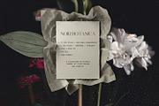 Noir Botanica Scanographs, a Texture Graphic by House of Delfina (Thumbnail 5 of 11)