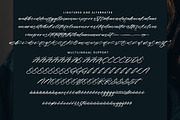 Butter Whisk Modern Signature, a Handwritten Font by operatype.co (Thumbnail 13 of 15)