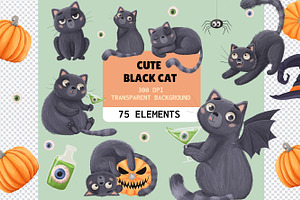 Cute Black Cat PNG Illustrations