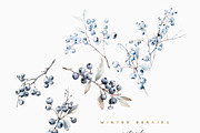 Winter Collection Graphic Set, a Seasonal Illustration by studioequinox (Thumbnail 13 of 17)