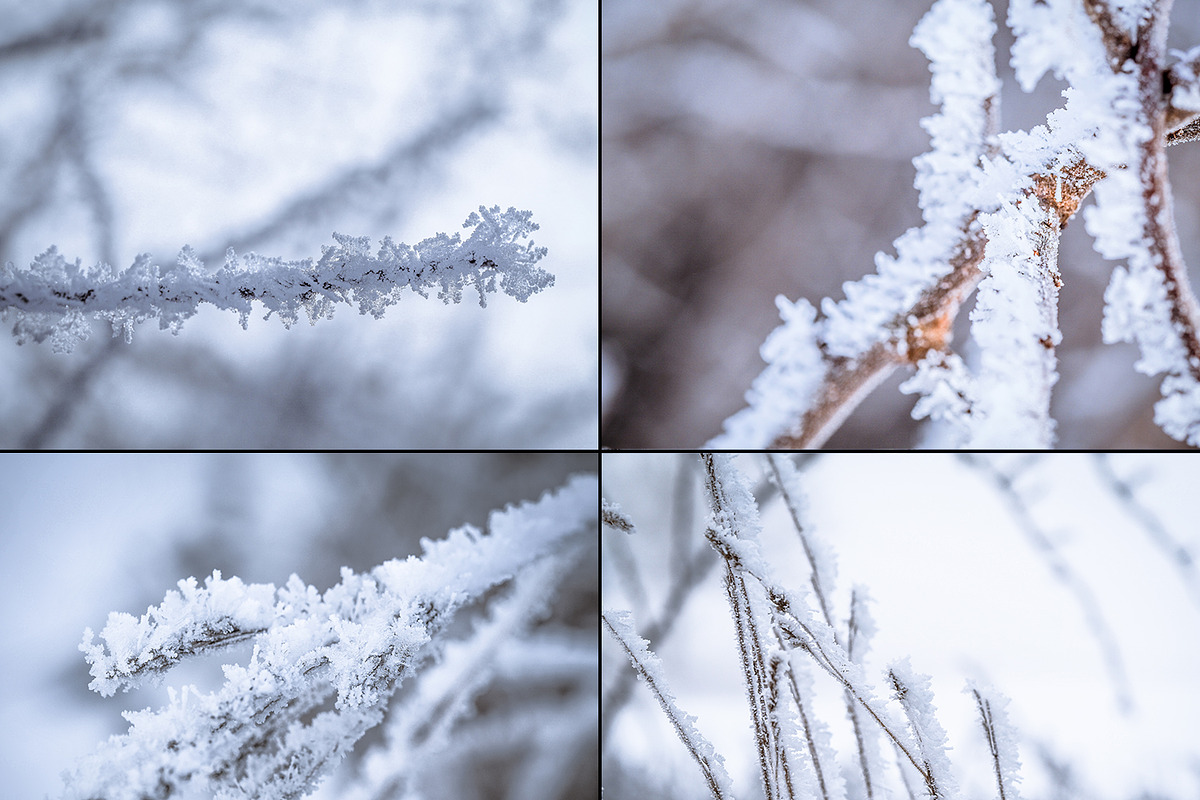 Frozen morning bundle /77pics, a Background Graphic by tydla (Photo 5 of 12)